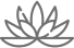 Lotus icon in gray on transparent background